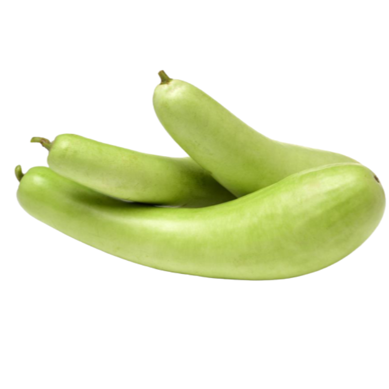 Bottle gourd (દૂધી) 