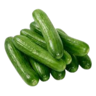 Cucumber (કાકડી) 