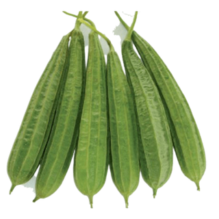 Ridge gourd (તુરીયા) 