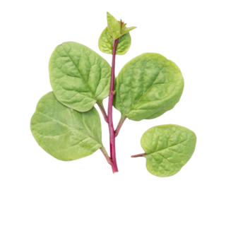 Poi leaves (પોઈ ભાજી) (Not Available)