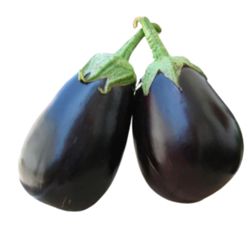 Bhartha Brinjal (ભરથા રીંગણ) 