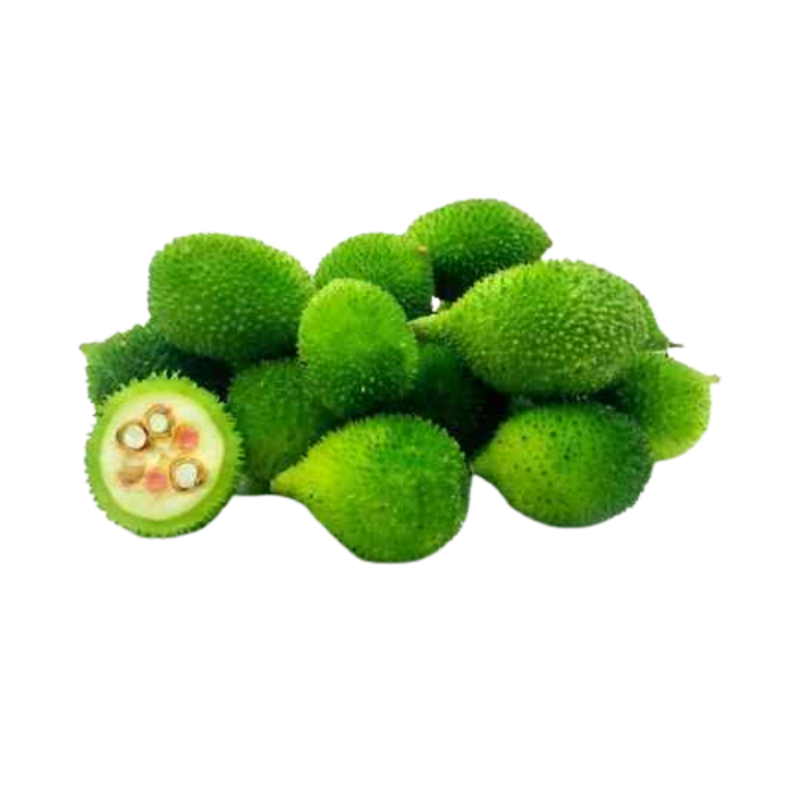 Spiny gourd (કંકોડા) 