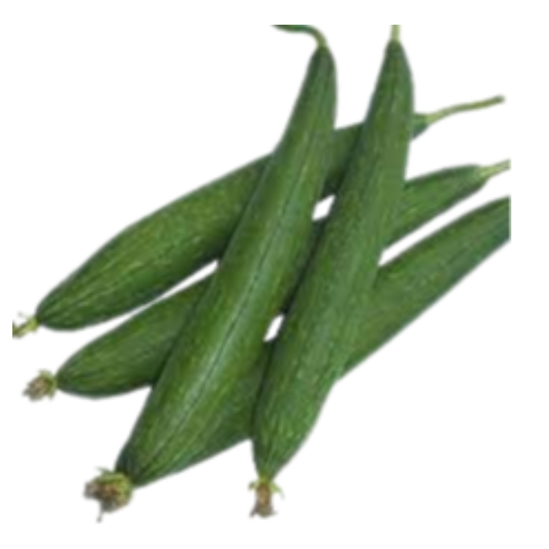 Spoung gourd (ગલકા) 