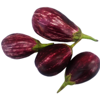 Brinjal (રીંગણ) 