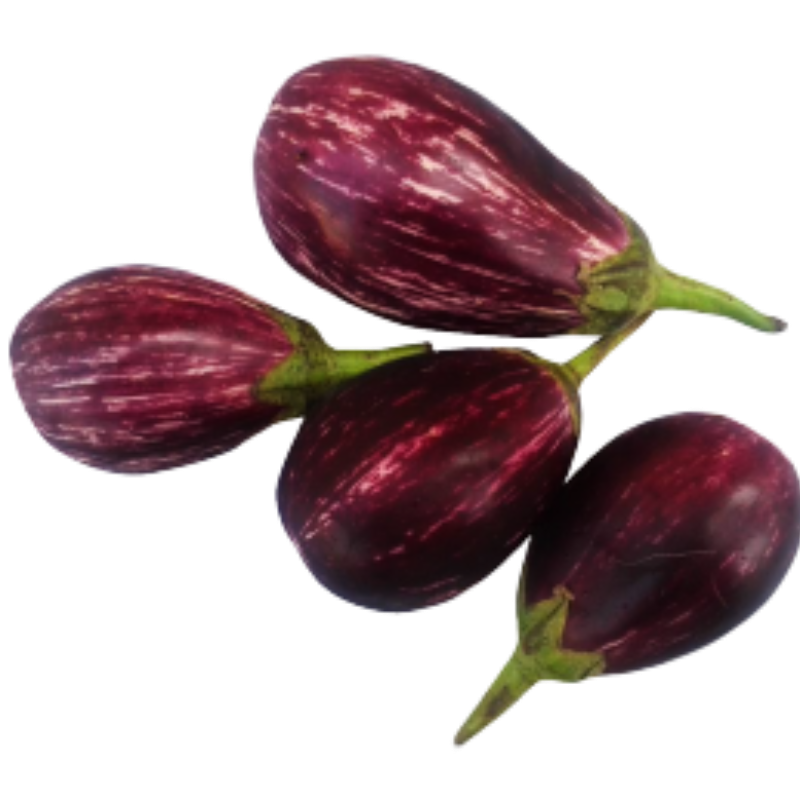 Brinjal (રીંગણ) 