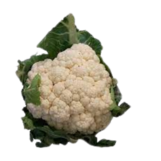 Cauliflower (ફ્લાવર) 