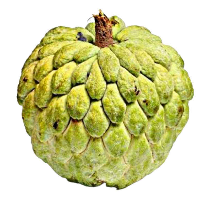 Custard apple (સીતાફળ) 