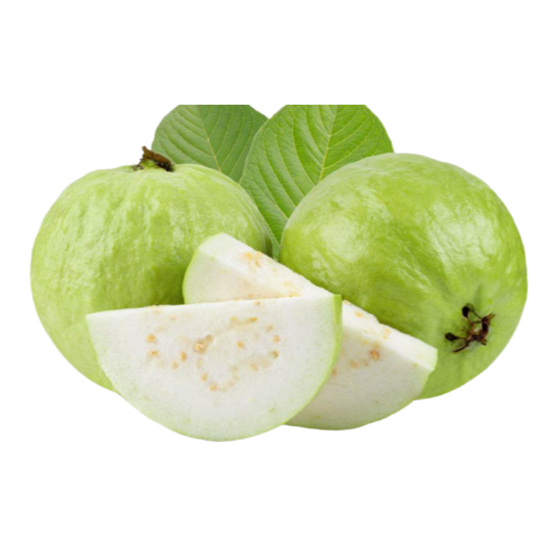 Guava (જામફળ) 
