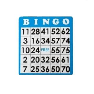1 Bingo card