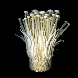 Enoki Mushroom 金针菇 100g