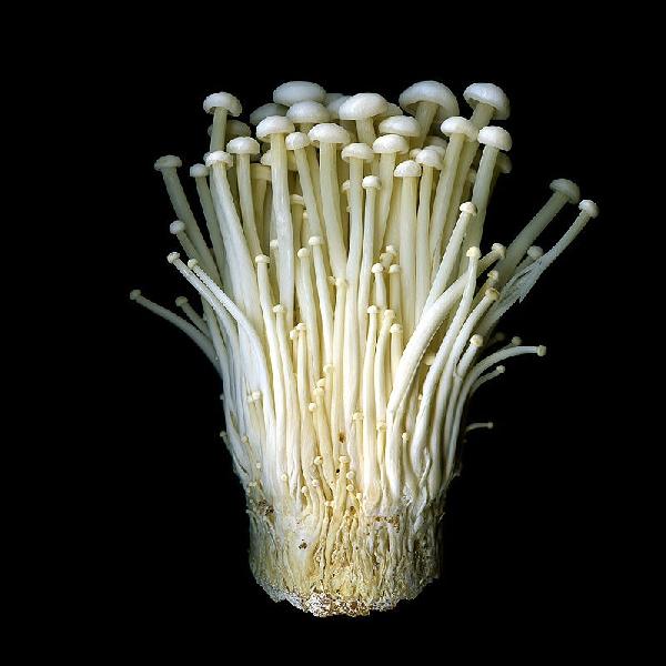 Enoki Mushroom 金针菇 100g Main Image