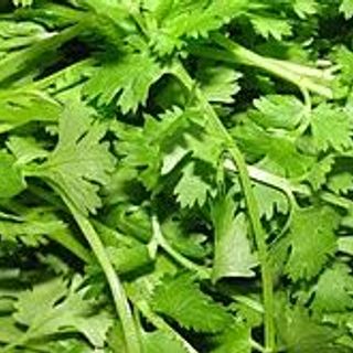 香菜 Coriander Leaves 250g