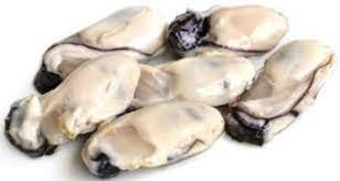 Oyster 1Kg Main Image