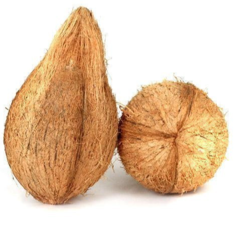 Coconut Large Image