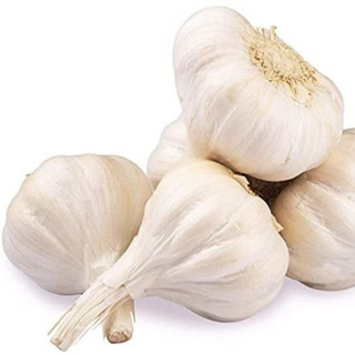 Garlic Whole Image