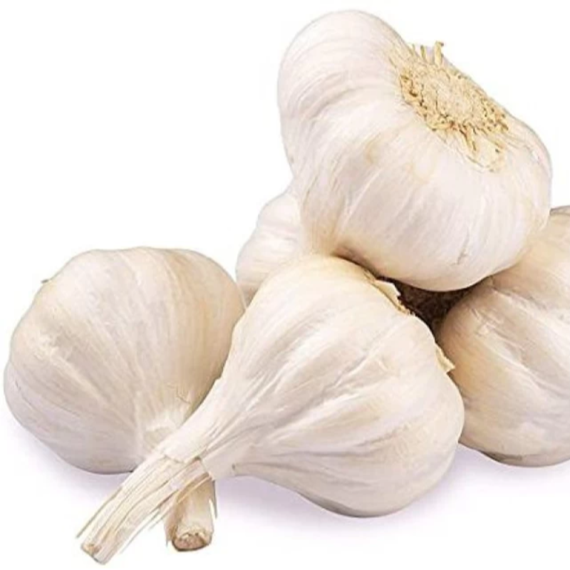 Garlic Whole Large Image