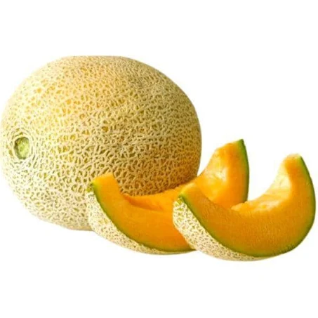 Musk Melon Image