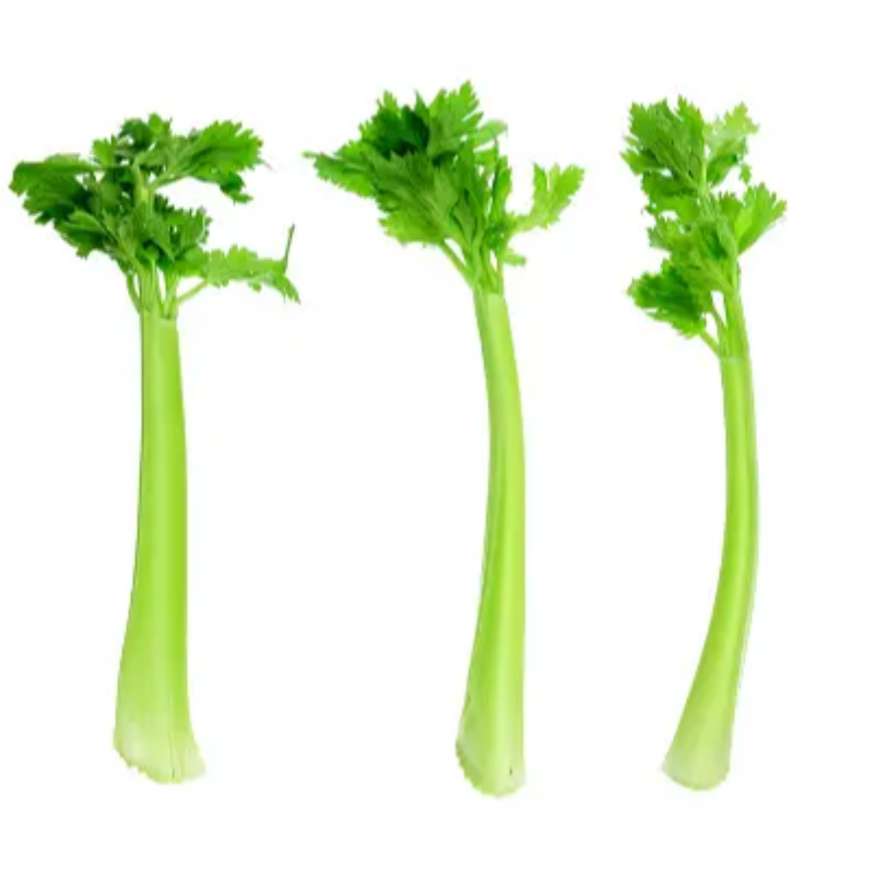 Celery Large Image