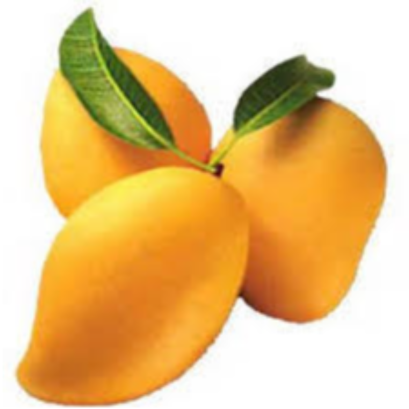 Mango Ripe Large Image