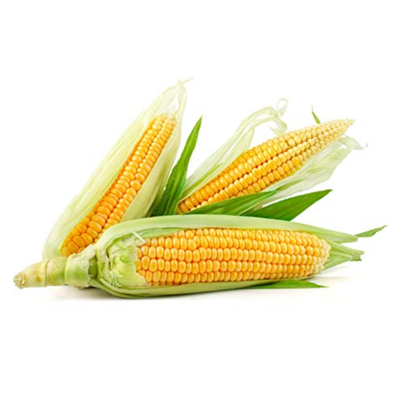 Corn on Cob / Sweet Corn Large Image