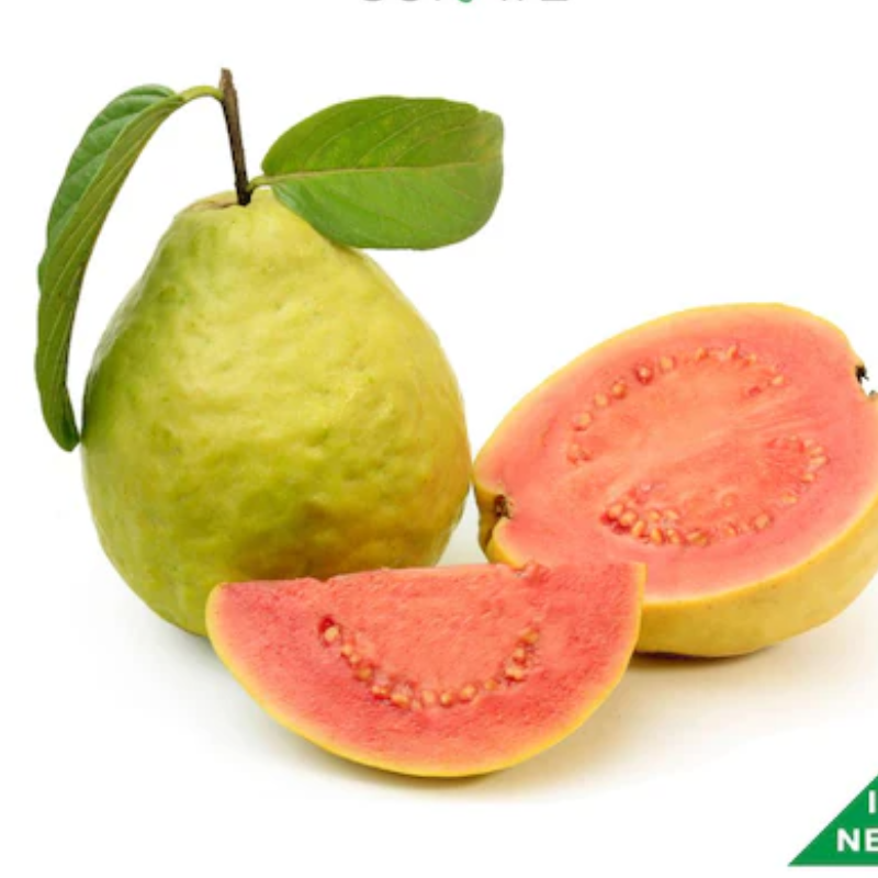 Guava Large Image