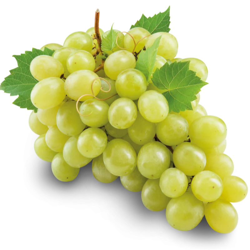 White Grapes Large Image