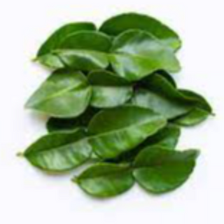 Kaffir Lime Leaves Image