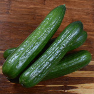 English Cucumber Image