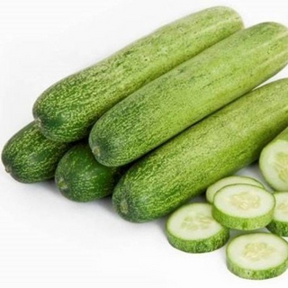 Indian Cucumber Image