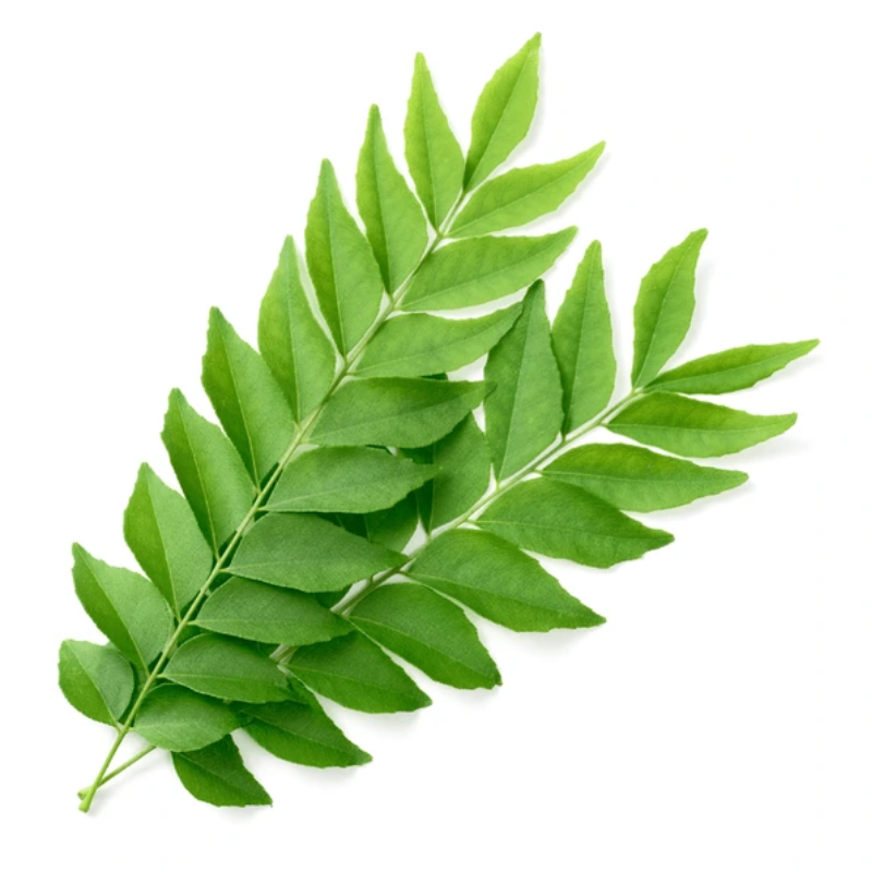 Curry Leaves Large Image