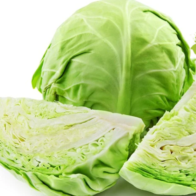 Cabbage Large Image