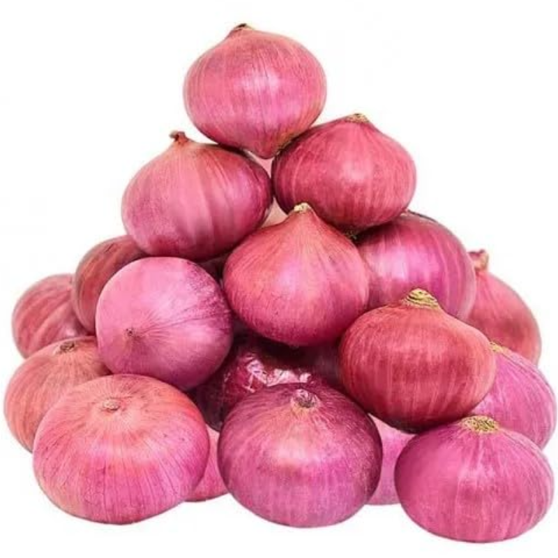 Onion Large Image