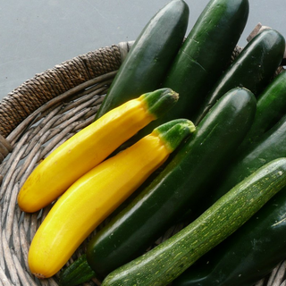 Zucchini Yellow/ Green (A Grade)