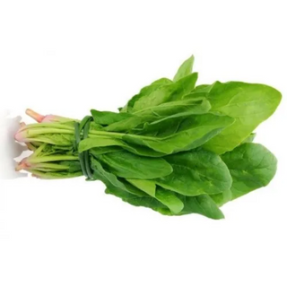 Palak / Spinach