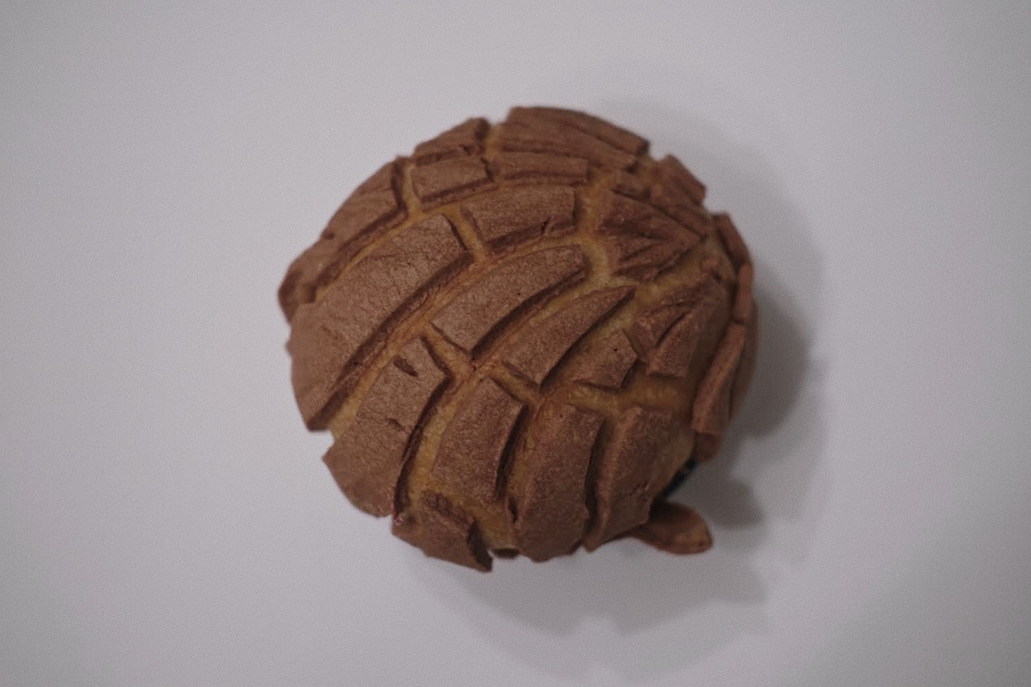 Chocolate Concha Large Image