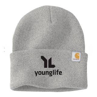 Carhartt Beanie (Gray)