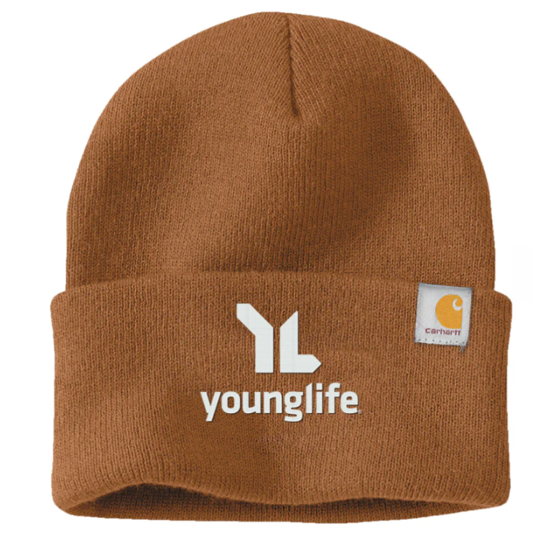 Carhartt Beanie (Brown) Main Image