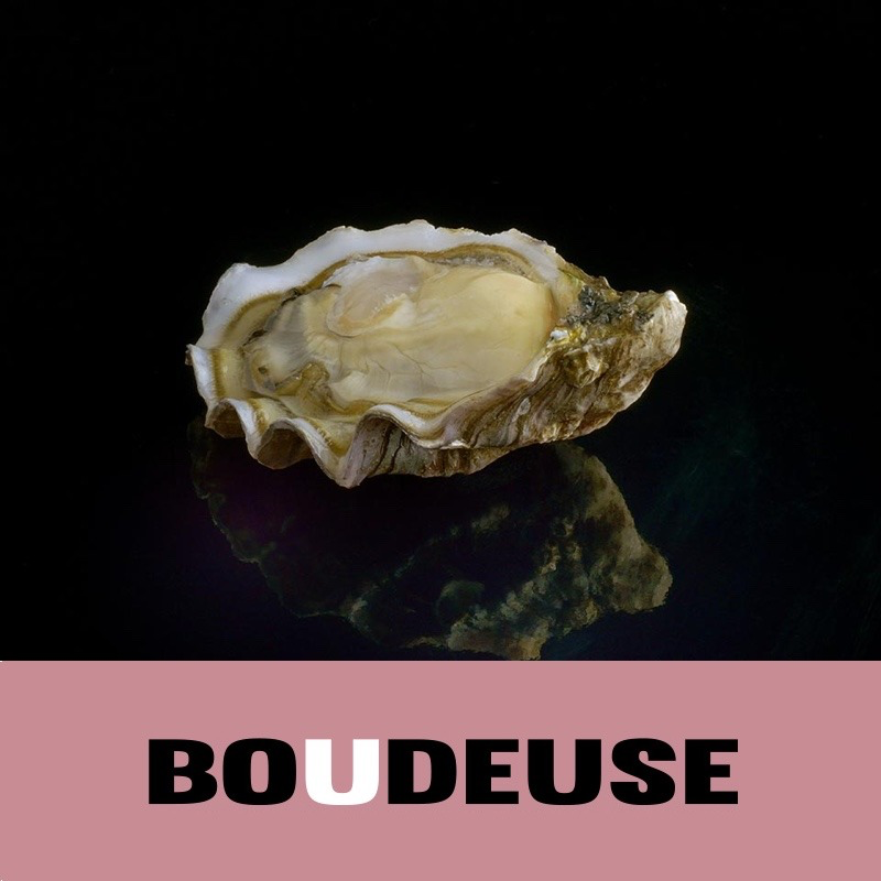 法國 La Boudeuse 生蠔  (12pcs/Box) 