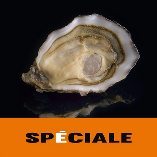 法國  La Spéciale 生蠔  (12pcs/Box) 