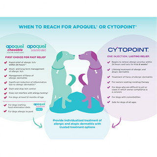 🐶 Cytopoint (20mg X 1mL Vial)
