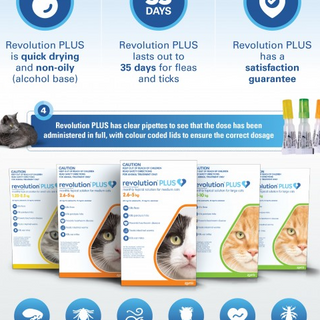 CAT: Revolution Plus (3 Month Supply)