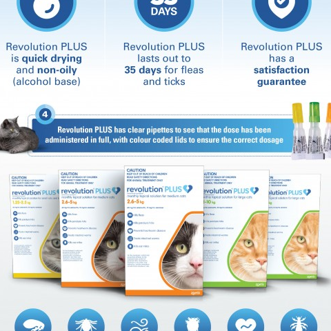 CAT: Revolution Plus (3 Month Supply)