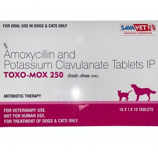 🐶 & 😺 Toxo-Mox 250MG & 500MG