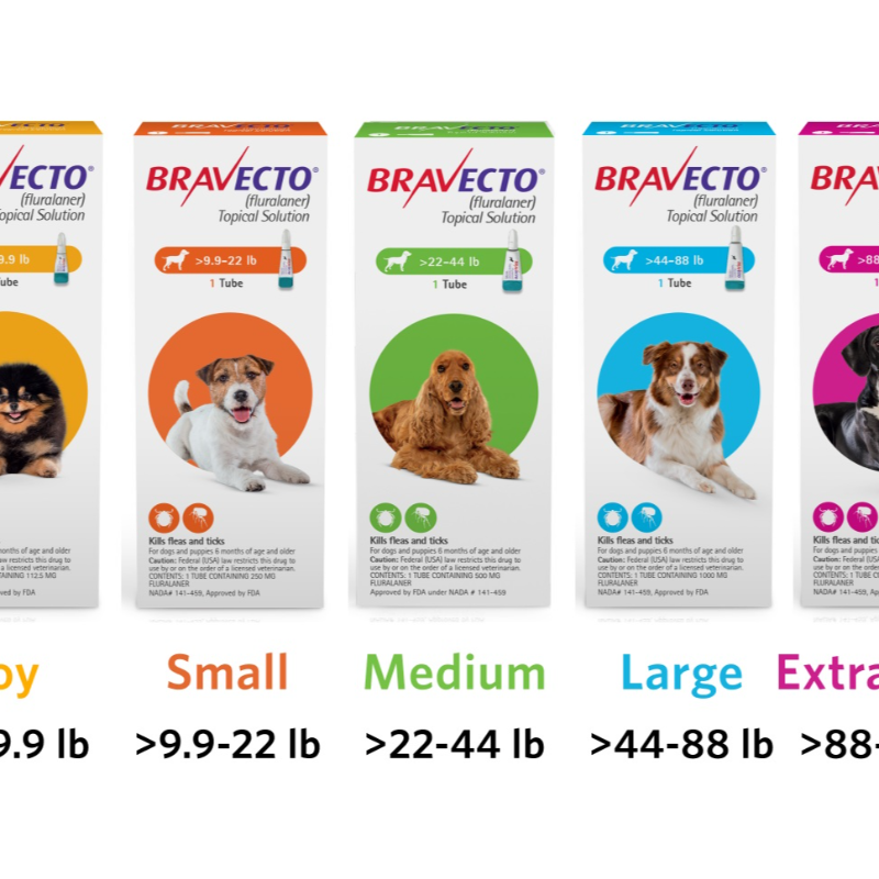 🐕 Bravecto Chew (3 Month Supply)