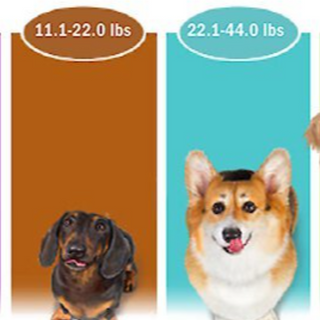 🐕 Simparica Trio (3 Month Supply)