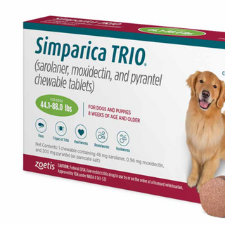 🐕 Simparica Trio (3 Month Supply)