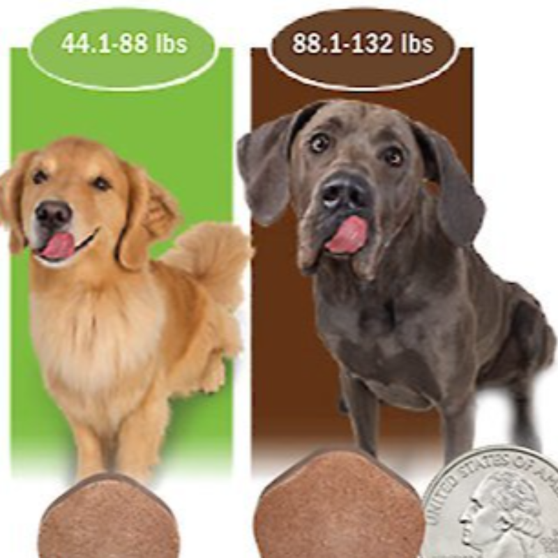 🐕 Simparica Trio (3 Month Supply)