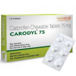 🐶 Carodyl (Caprofen): 25MG, 75MG & 100MG