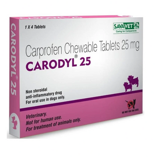 🐶 Carodyl (Caprofen): 25MG, 75MG & 100MG