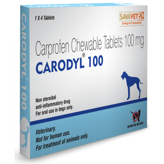 🐶 Carodyl (Caprofen): 25MG, 75MG & 100MG